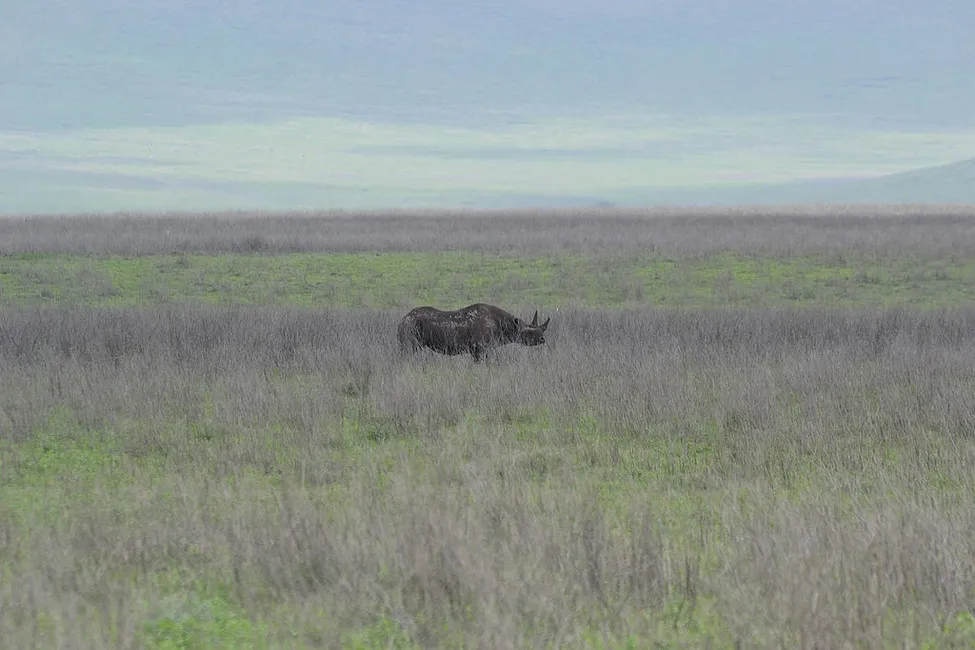 Klicka för att förstora
