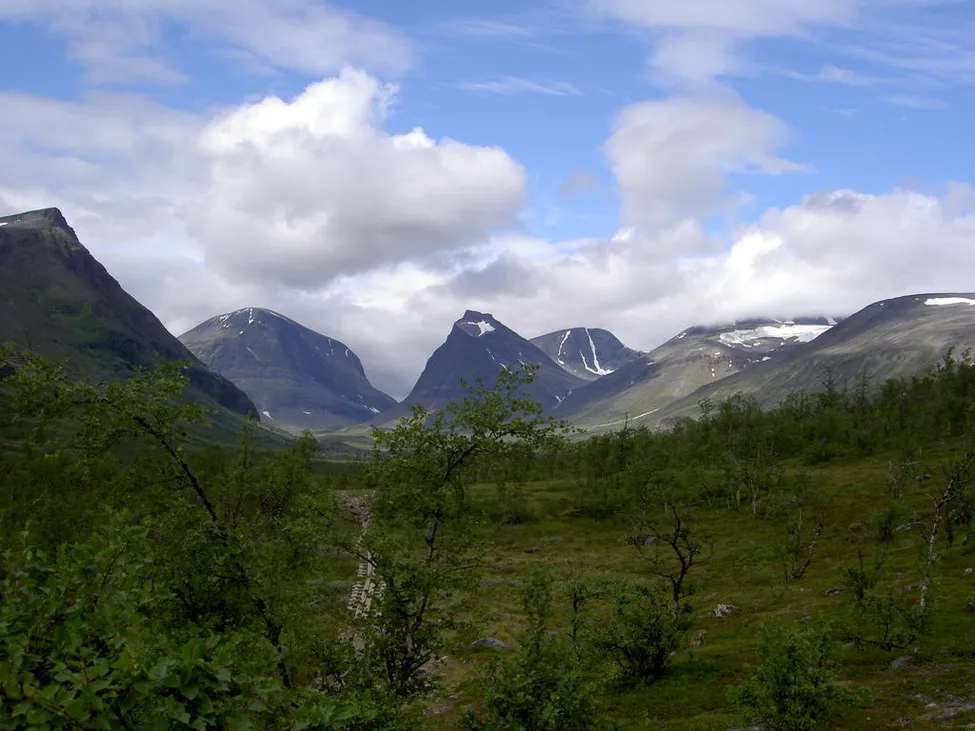 Klicka för att förstora