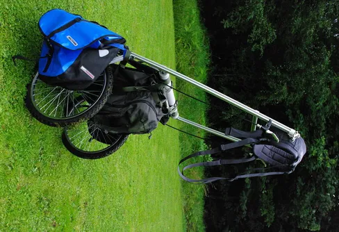 Den late bär hellre ihjäl sig än går två gånger