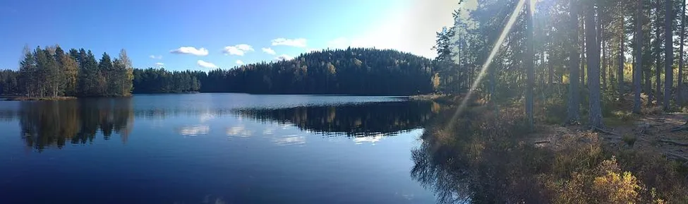 Klicka för att förstora