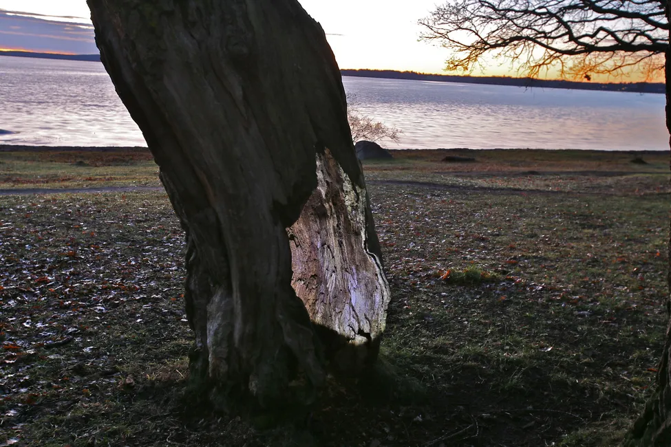 Klicka för att förstora