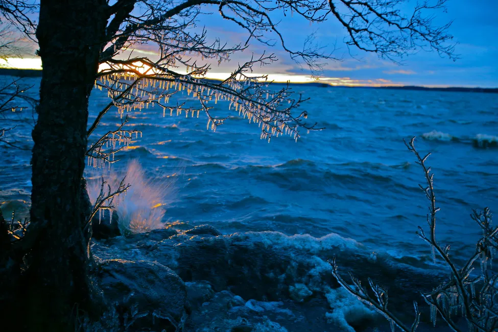 Klicka för att förstora