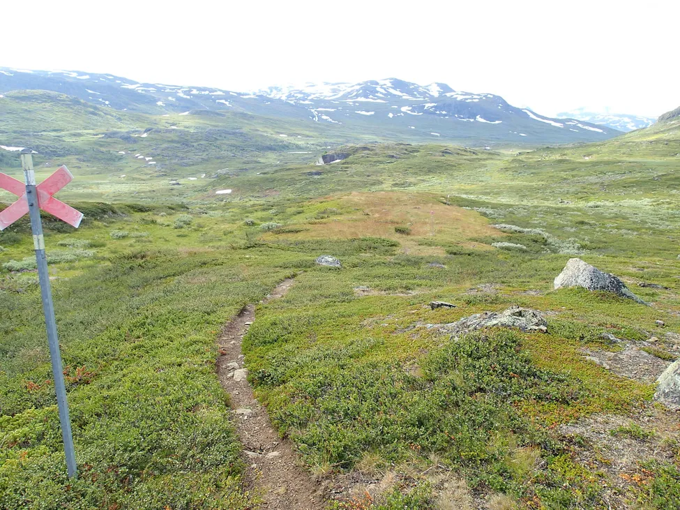 Klicka för att förstora