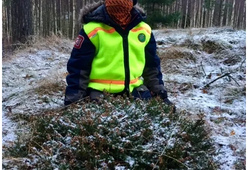 Spännande vildsvinsjakt med familjen som publik - artikel i tidningen Svensk Jakt