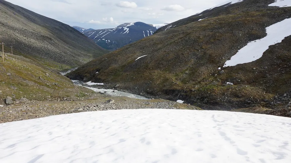 Klicka för att förstora