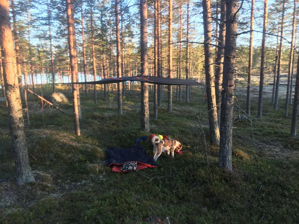 Klicka för att förstora