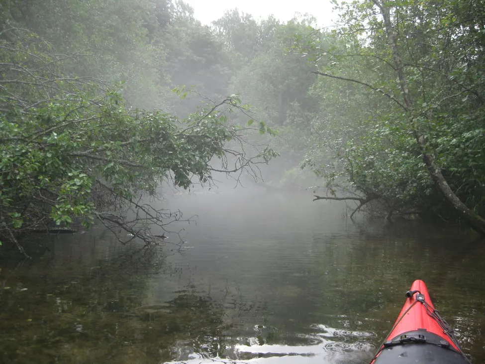 Klicka för att förstora