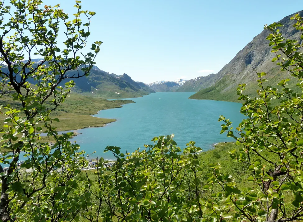 Klicka för att förstora