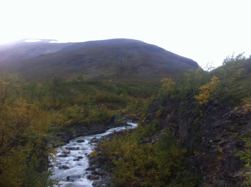 Klicka för att förstora