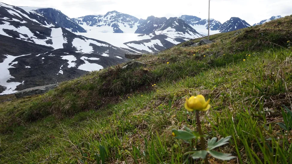 Klicka för att förstora
