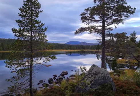 Minidokumentär om Töfsingdalen