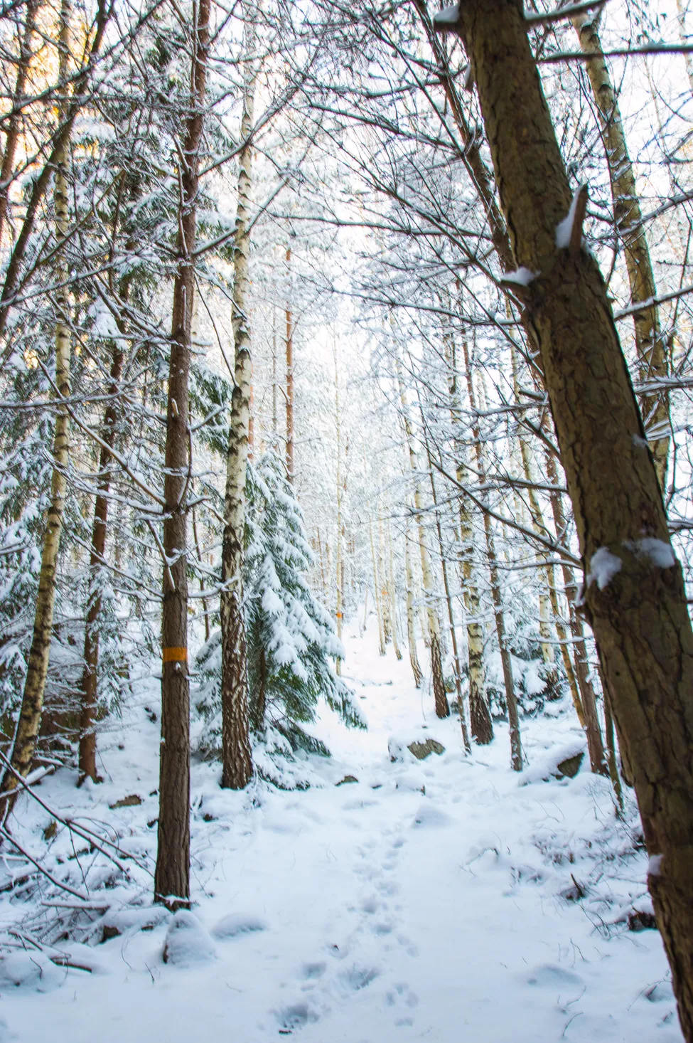 Klicka för att förstora