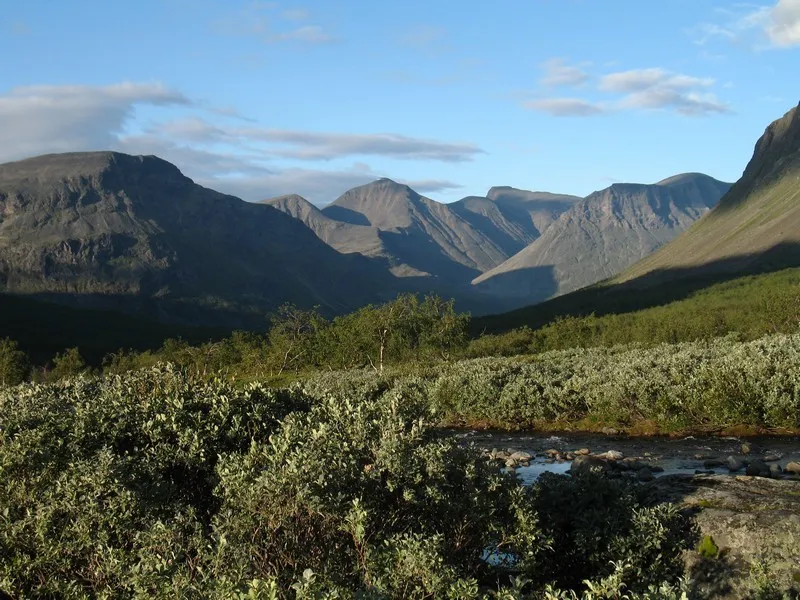 Klicka för att förstora