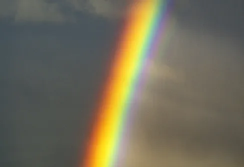 Vandring i Gränslandets försummade vildmark