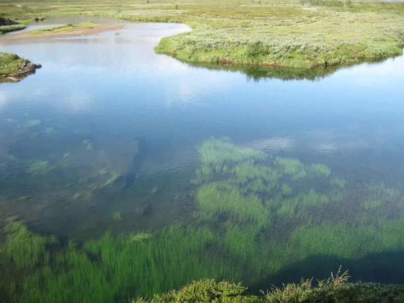 Klicka för att förstora