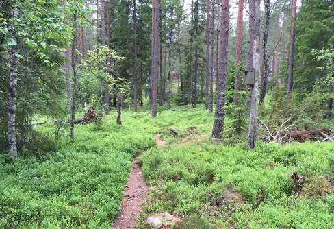 Sänkt moms på naturguidningar