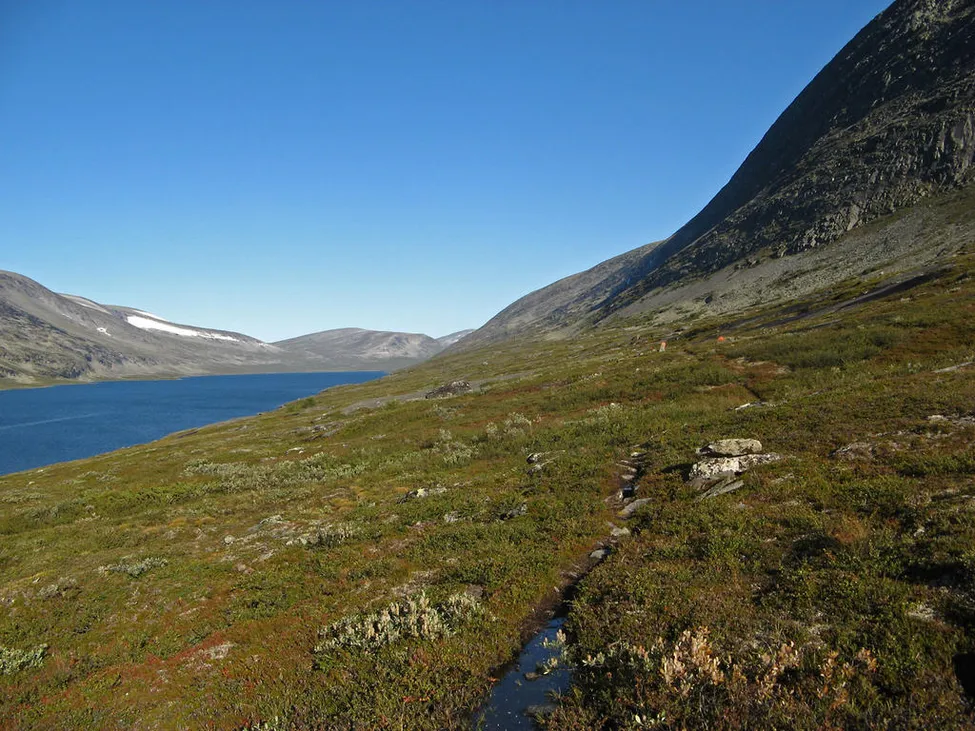 Klicka för att förstora