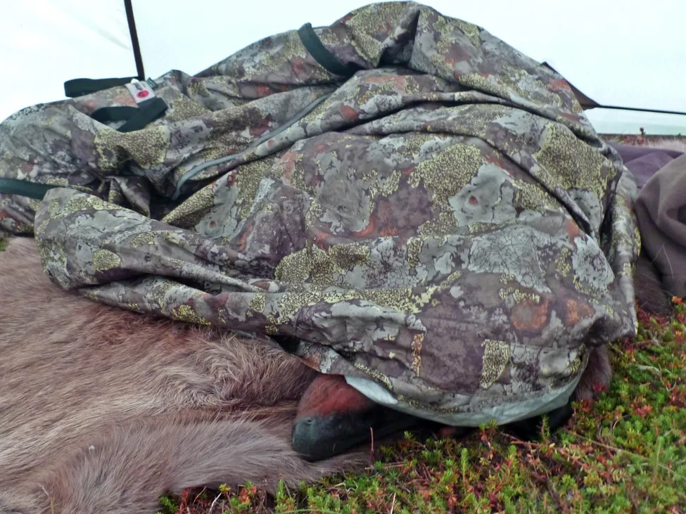 Klicka för att förstora