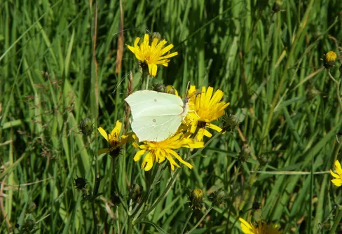 Kilsbergens högsta punkt