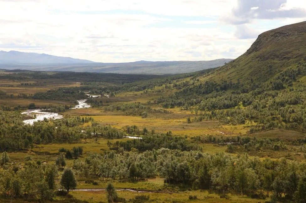Klicka för att förstora