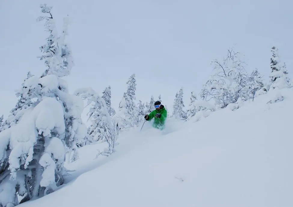 Klicka för att förstora