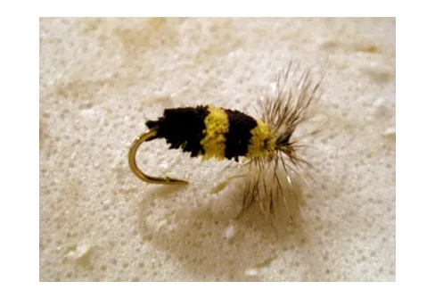 En hårig geting till frukost....