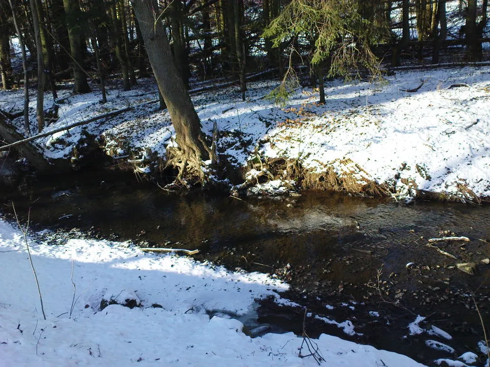 Klicka för att förstora