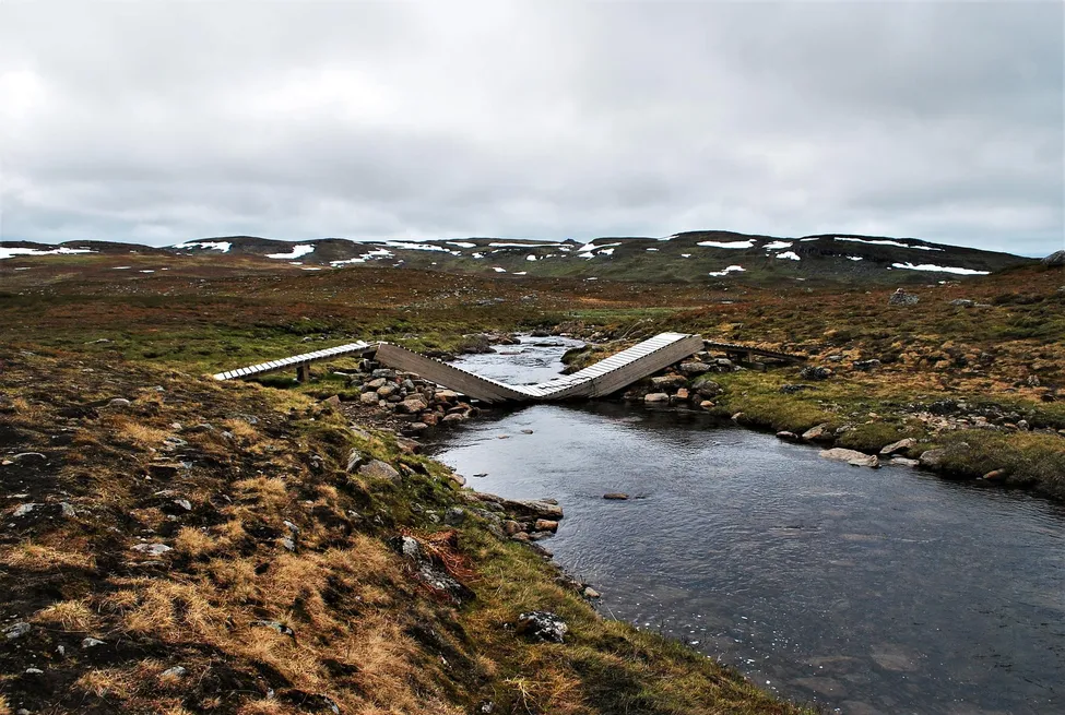 Klicka för att förstora