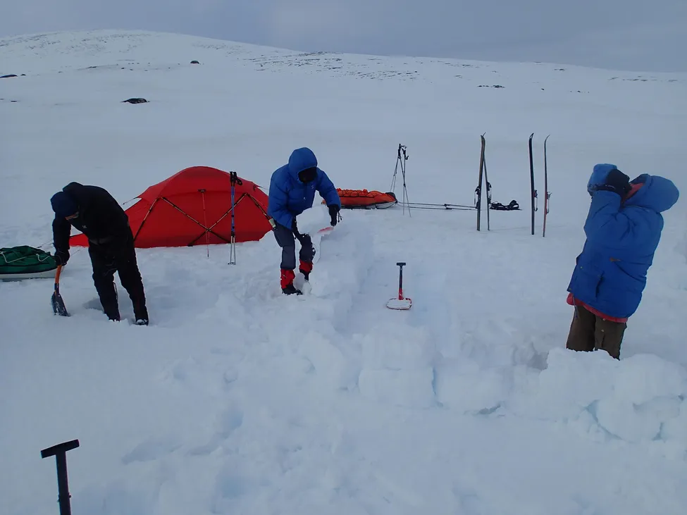 Klicka för att förstora