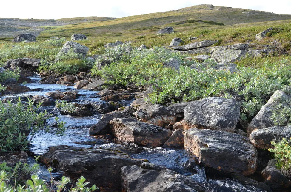 Klicka för att förstora