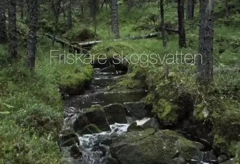 Film- och podcasttips