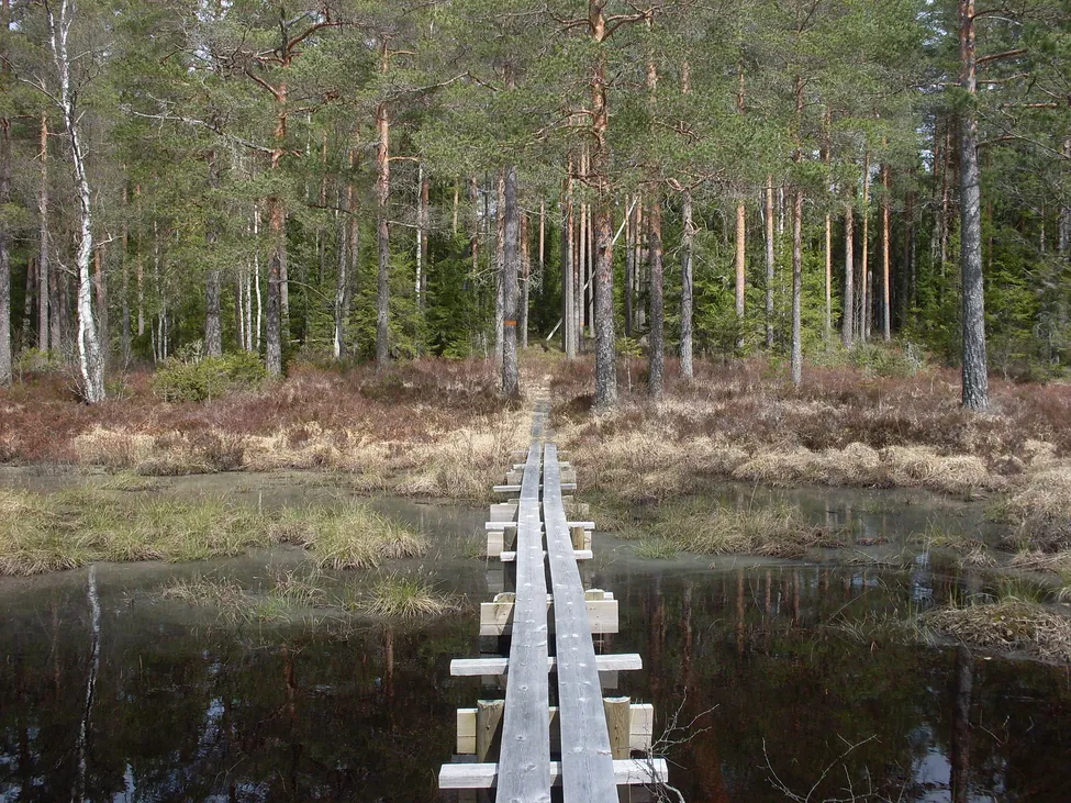 Klicka för att förstora