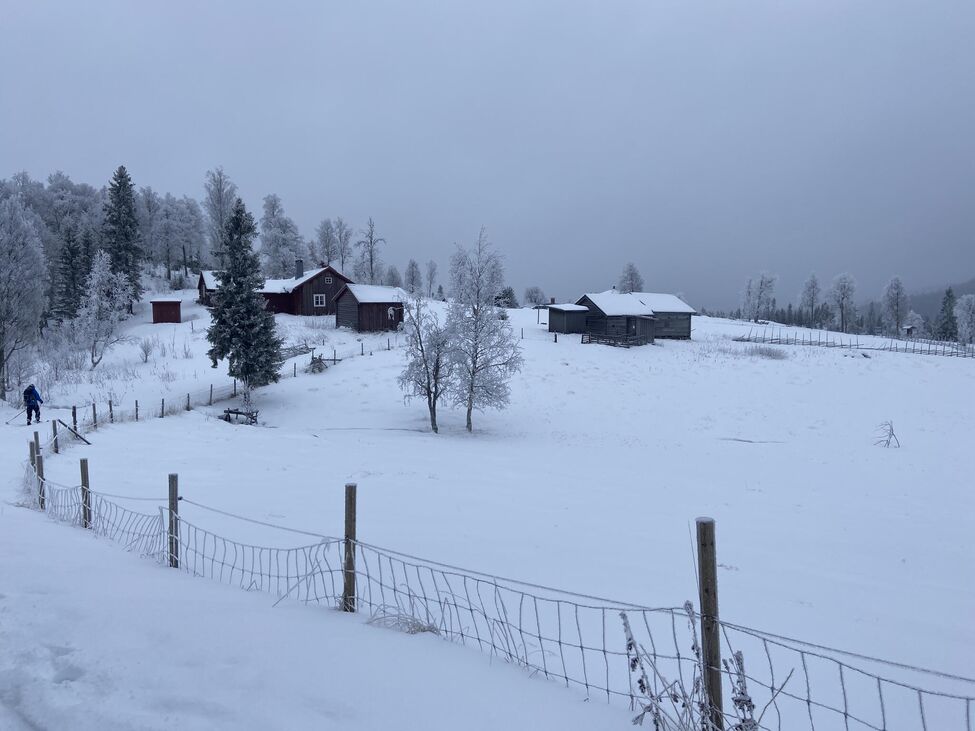 Klicka för att förstora