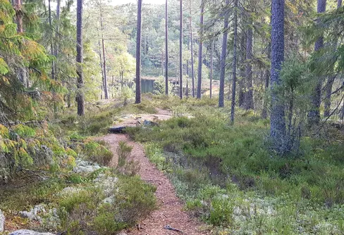 Vandringens dag 14 september