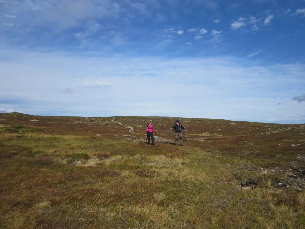 Klicka för att förstora