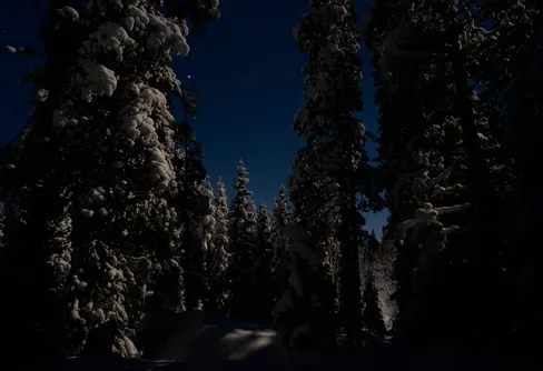 Övernattning i månsken : Vinterprylar