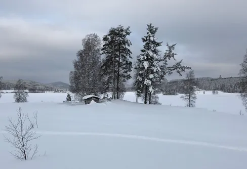 Vintern är i antågande