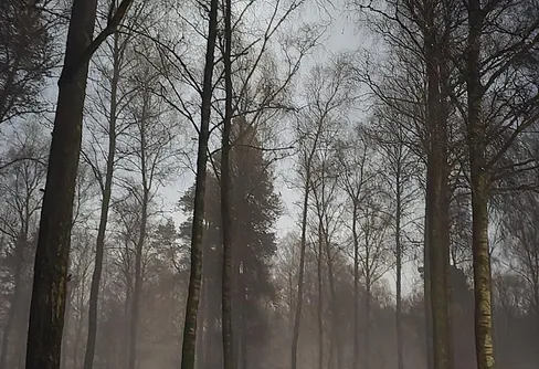 Sova utomhus i februari