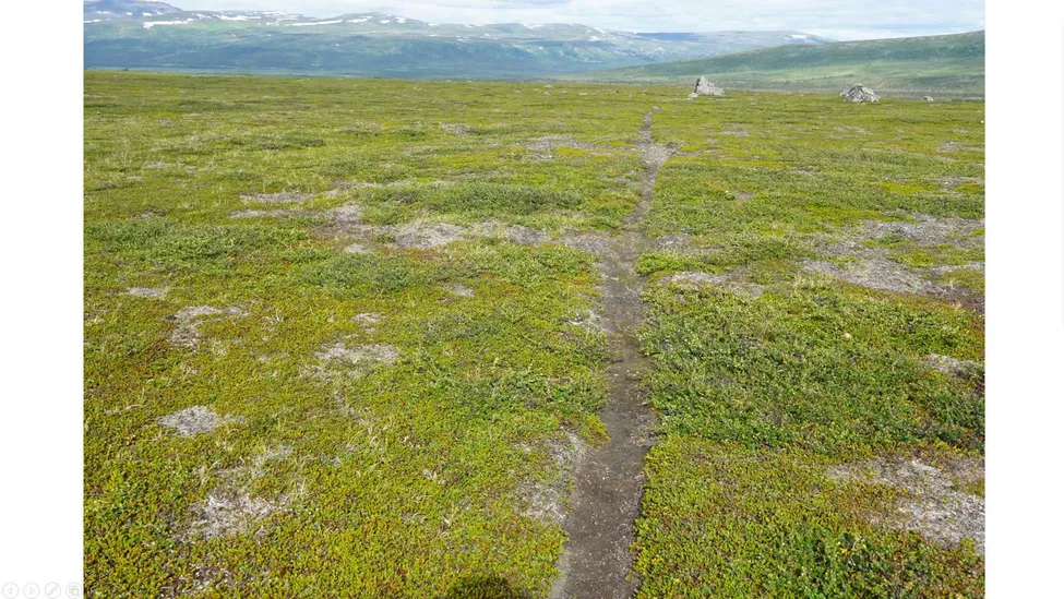 Klicka för att förstora