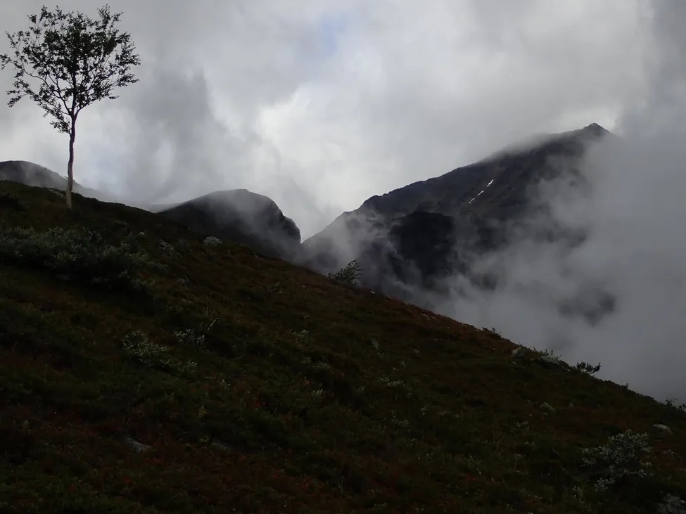 Klicka för att förstora