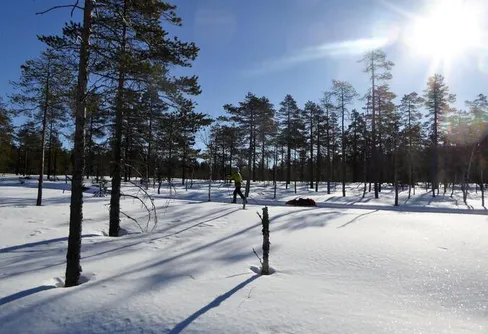 Vårvintertur i Gyllbergen