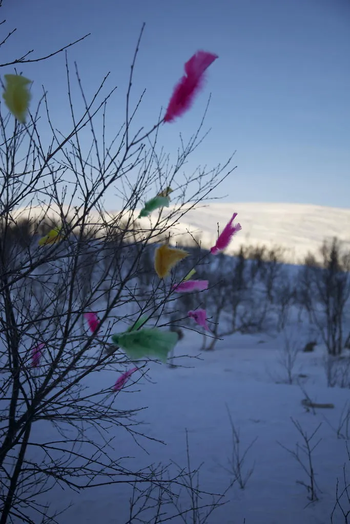 Klicka för att förstora