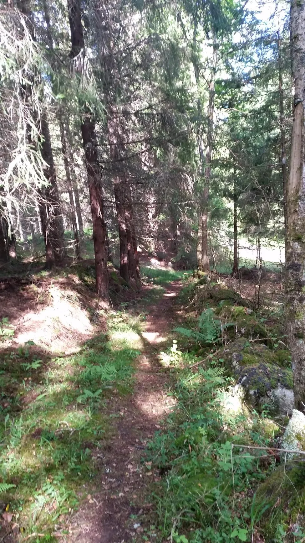 Klicka för att förstora