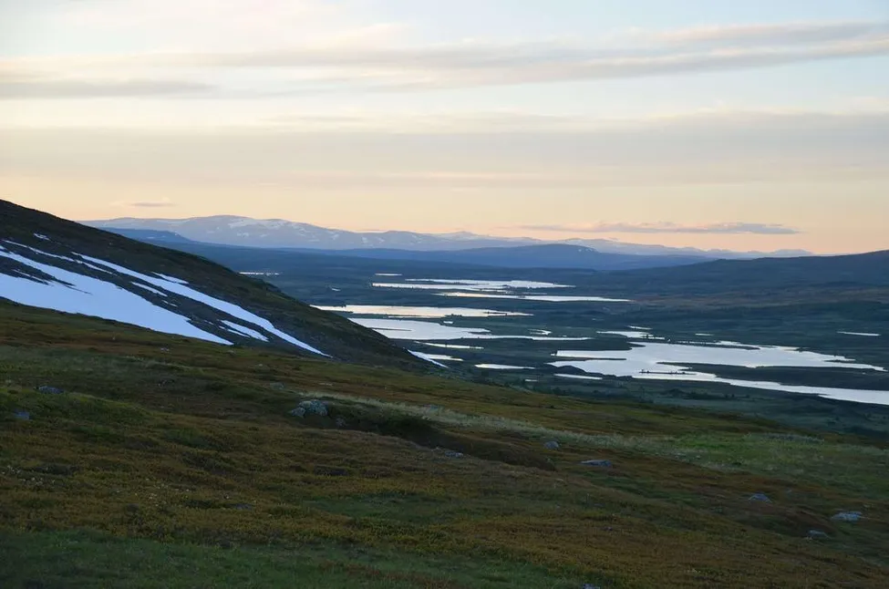 Klicka för att förstora