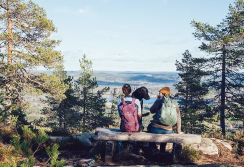6 insikter från Utsidans läsarenkät