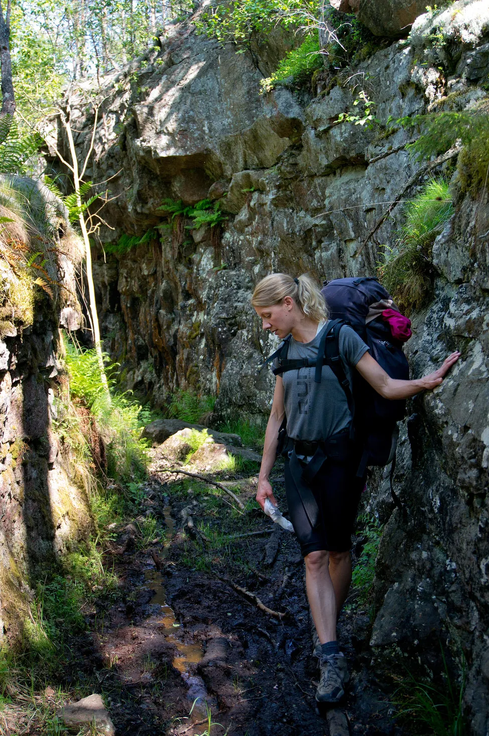 Klicka för att förstora