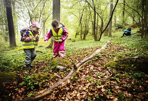 Skogshjältarna ger lärare nyckeln till skogen