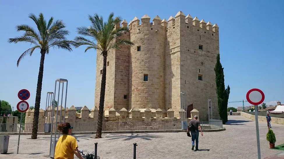 Klicka för att förstora