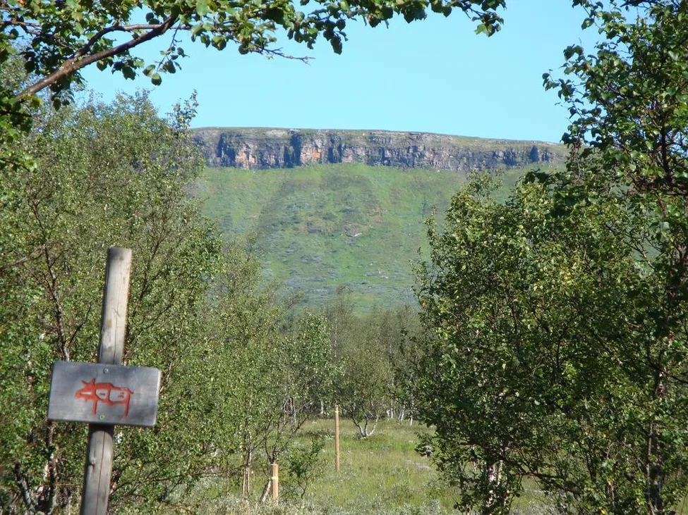 Klicka för att förstora