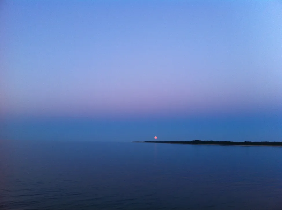 Klicka för att förstora